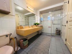 HONG LEE PLACE (D19), Terrace #547375531